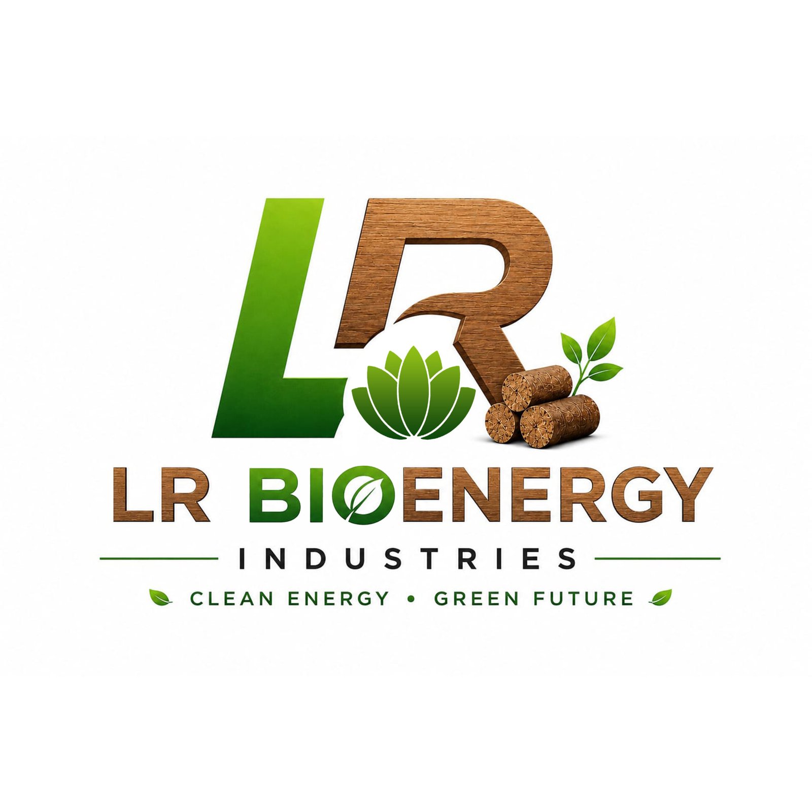 LR Bioenergy Industries biomass briquette manufacturing facility in Odisha